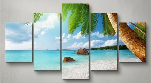 Quadro topico palma - , spiaggia