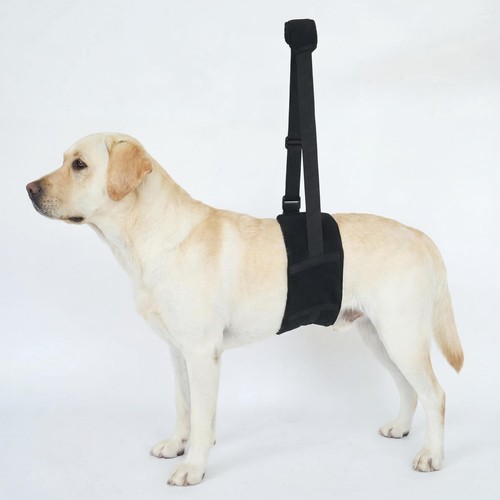 Imbracatura sollevamento cani - sollevamento,