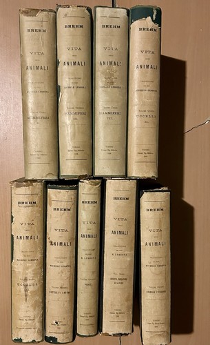 1893 1906 brehm alfred - -, brehm,