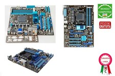 Scheda madre asus - scheda,