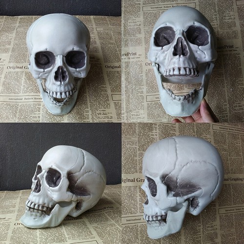 Halloween testa teschio - halloween, di
