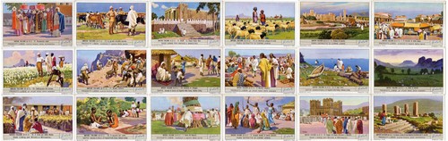 1356 liebig impero - s, /