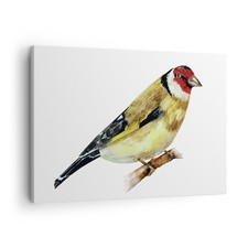 Quadro su Tela 70x50cm