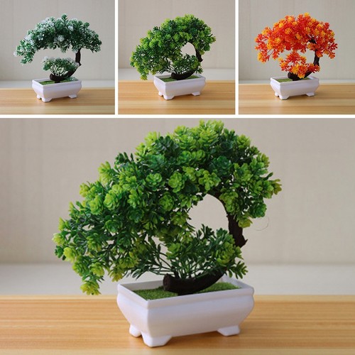 Bonsai simulazione artificiale - simulazione,