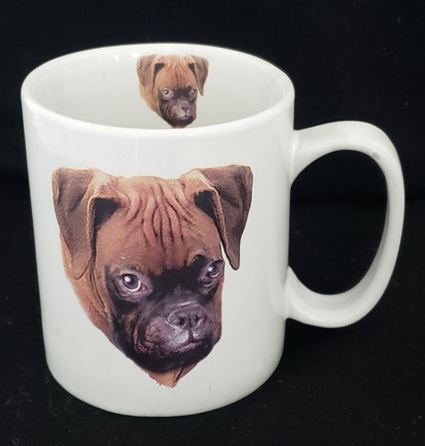 Puppies kittys boxer cane - ,
