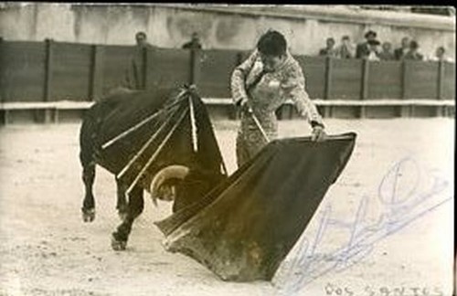 Corrida fotografia originale - corrida,