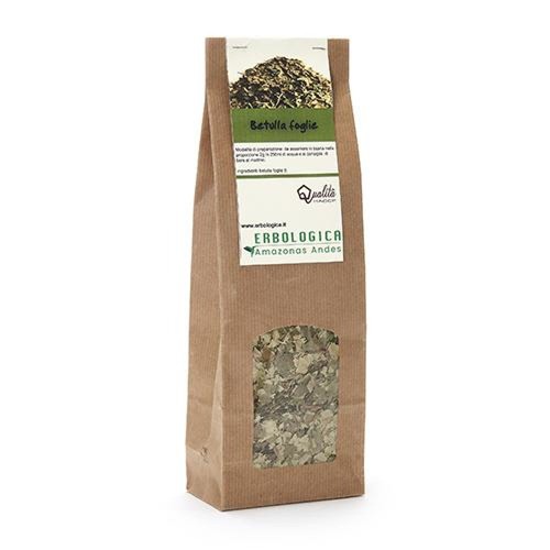 Betulla foglie essiccate - foglie,