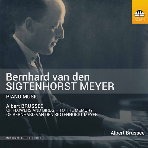 Albert brussee piano - brussee,