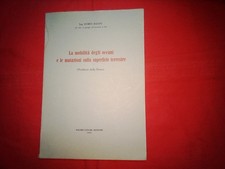 Romeo Masini  La mobilità