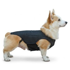 Tutore Schiena per Cani per