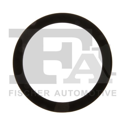 Guarnizione valvola egr - valvola,