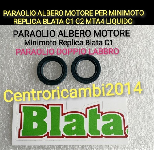 Paraolio motore per minimoto - paraolio,