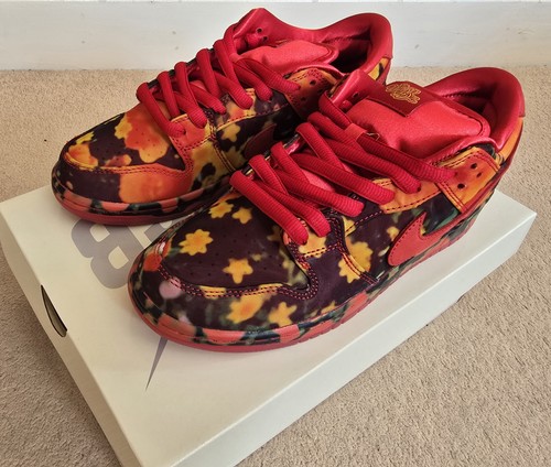 Nike dunk low - sb,