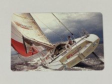 C&C 2551 Golden 482 SOLDINI