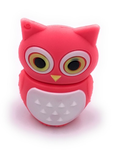 Chiavetta usb eule - eule, vogel