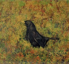 Dipinto Olio su Tavoletta Merlo  cm. 30  x 27,5