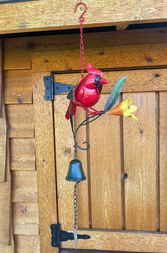Stravagante cardinale - , da
