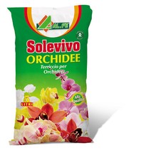 Alfe solevivo terra terriccio