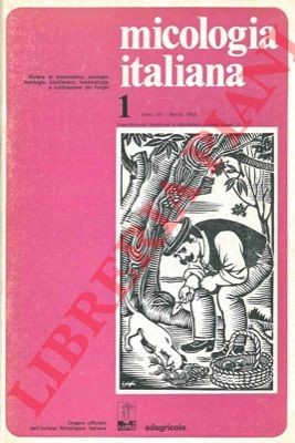 41106 micologia italiana - -,