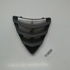 GRIGLIA RADIATORE SCUDO