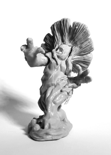 Fungal bruiser bones - -,