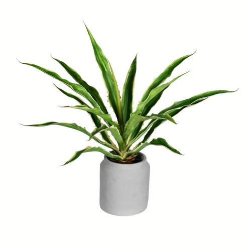 Pianta yucca artificiale in - yucca,