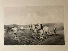 Lotto Di 6 Incisioni Cavalli
