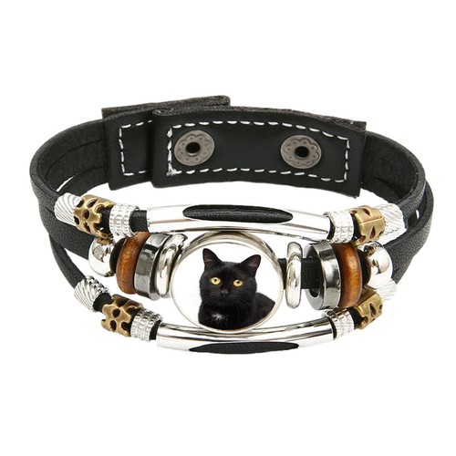 Black cat pet family brown - black,