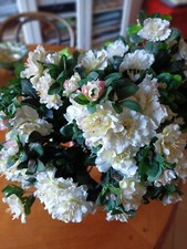 Bouquet Azalee Finte in tessuto bianco  per Decorazioni 