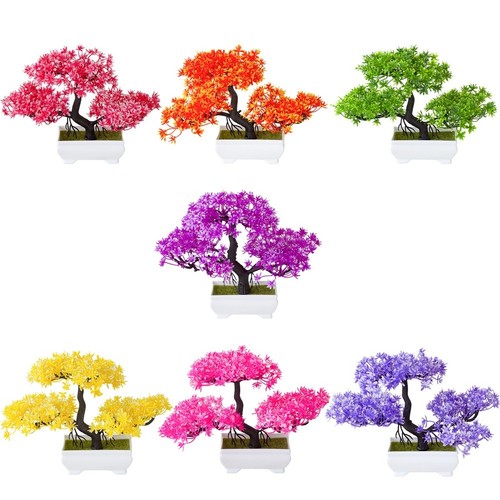 Set bonsai pino - pino, fiori