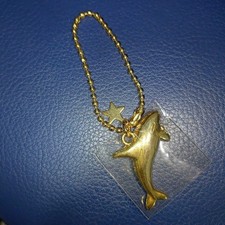 Chiave per balena assassina a