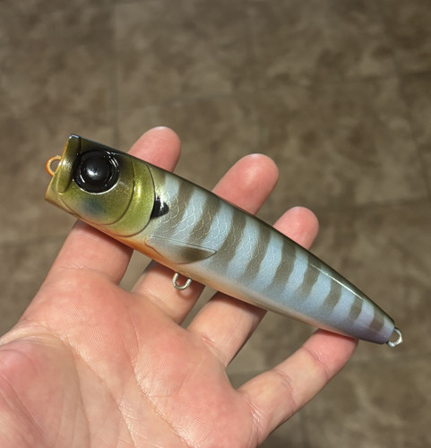 Topwater popper - topwater, 5"