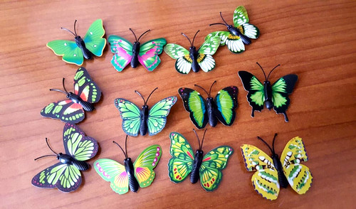 Farfalle piccole non adesive - piccole,