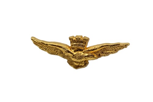 Distintivo spilla brevetto - distintivo,