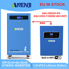 15KWh 51.2V 300Ah Batteria LiFePO4 Accumulatore +11KW 48V Inverter Solare Ibrido