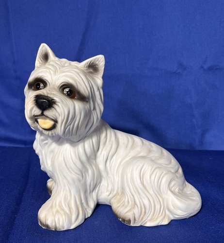 West highland white terrier - west,