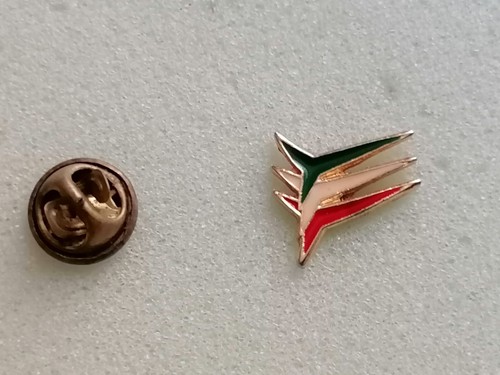 Distintivo pins spilla badge - pins,