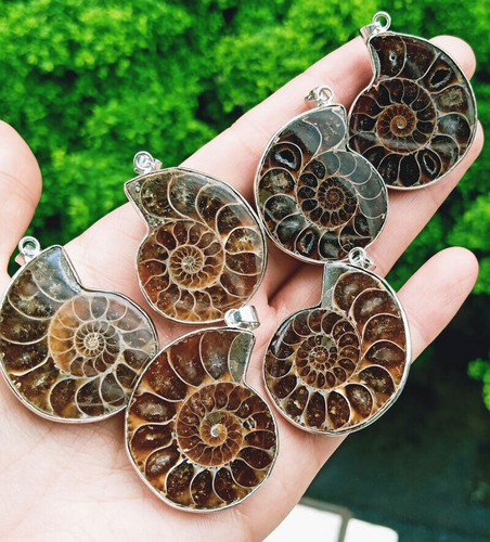 Ciondolo fossile ammonite