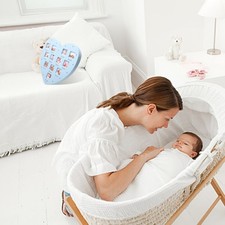 1 PZ 12 mese Growth Picture