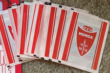 N 18  BUSTINE SIGILLATE