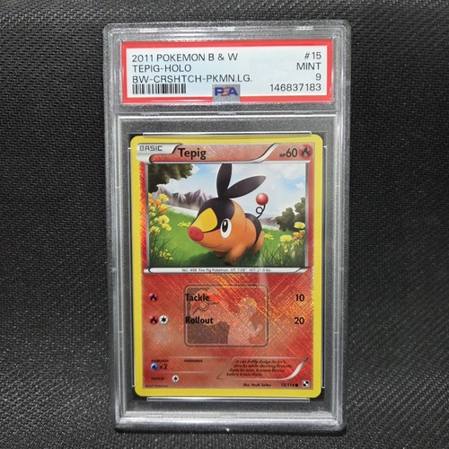 Pokemon 2011 tepig 114 - pokemon,