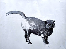 Tecnica mista con gatto Piero Gauli - milano, pittore e scenografo, arte del 900