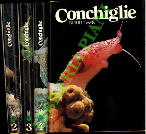 Conchiglie tutti mari - di,