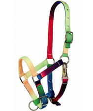 Tattini capezza cavezza in nylon multicolore da pony puledro cavalli