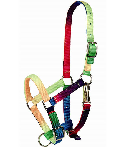Tattini capezza cavezza - , in
