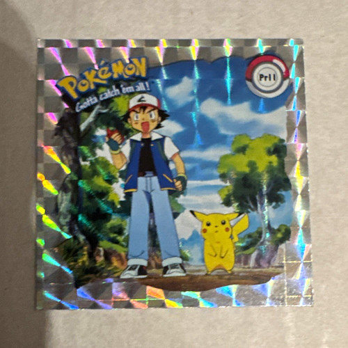 Pokémon tcg promo - promo, holo