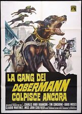 La gang dei doberman colpisce ancora - The Daring Dobermans Poster Manifesto 2F