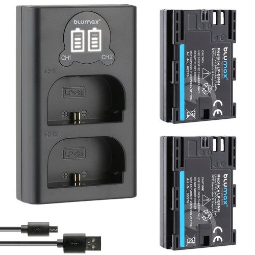 Batteria caricatore lcd - 2x,
