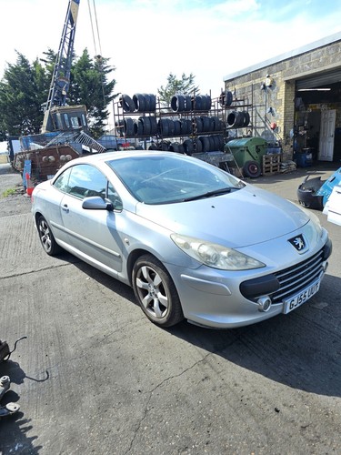 Dado ruota peugeot 307cc coupe - dado,
