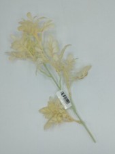 Rametto di nuage colore